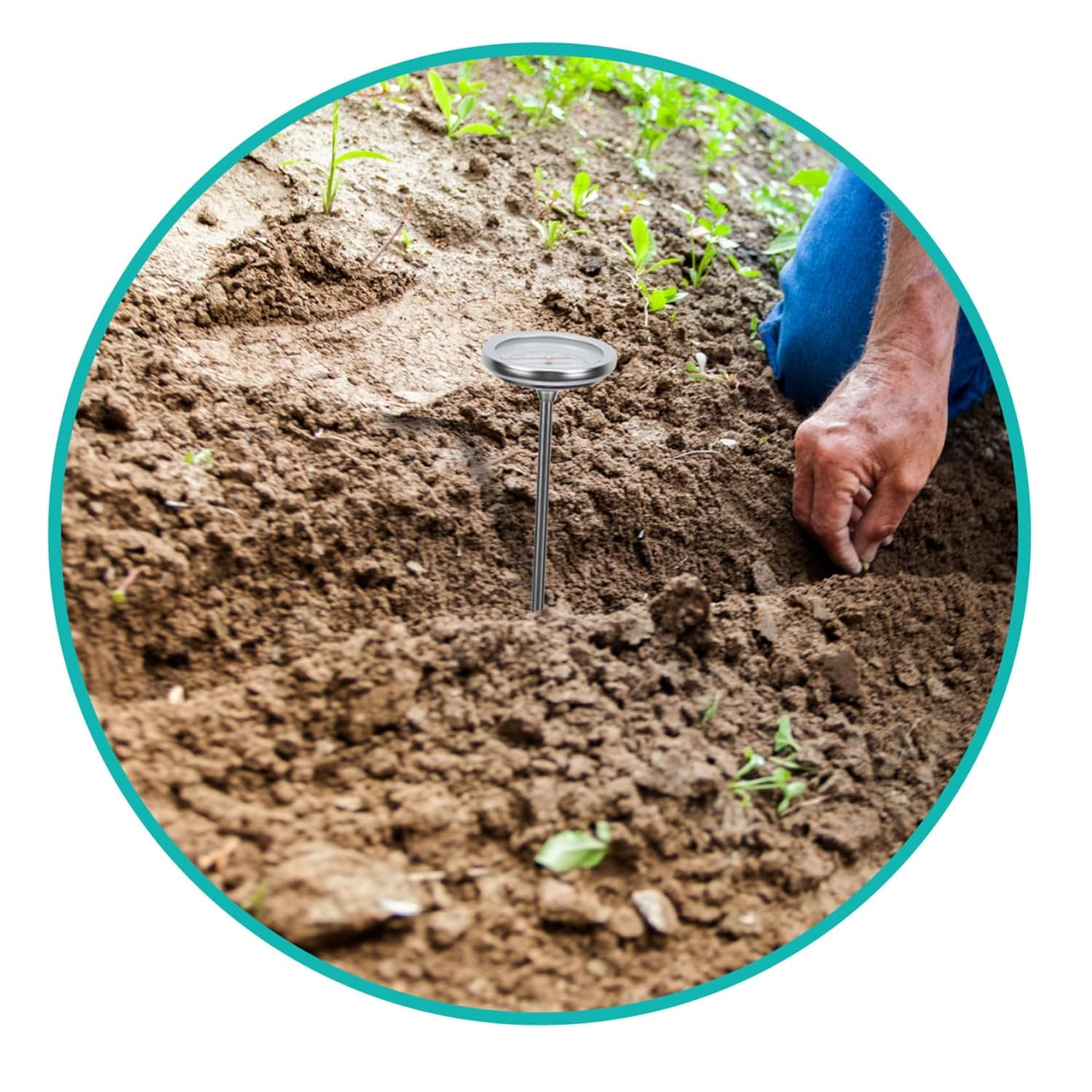 Ifundom Stainless Steel Compost Thermometer Probe for Soil Temperature Measuring Tool Gardening Use Accurate Gauge with Scale Lightweight and Practical Temperature Range C to C