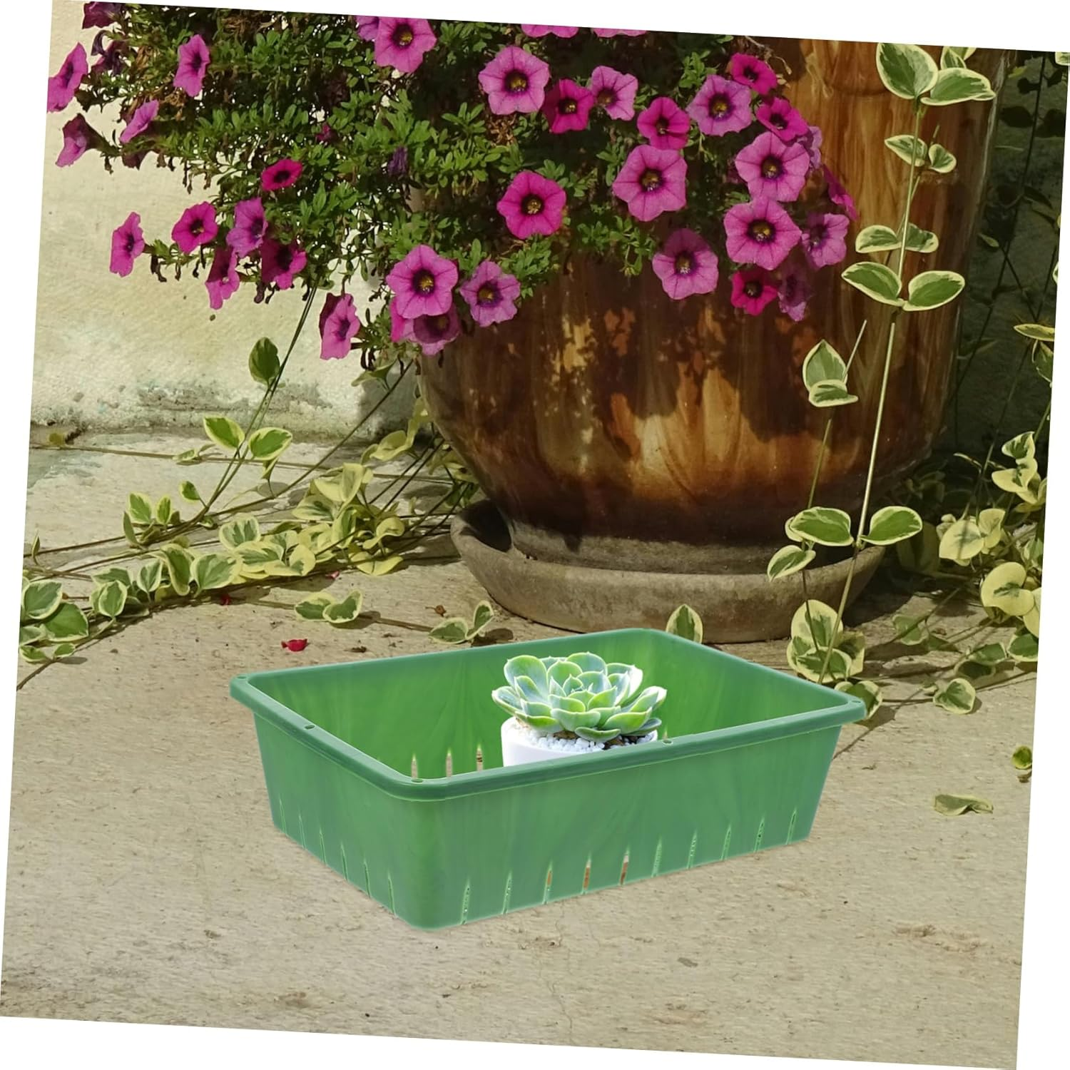 Milisten Propagation Tray Seedling Starter Tray for Gardening 2Pcs 26X18X7Cm in Green Suitable for Sprouts Indoor Plant Growing image number 1