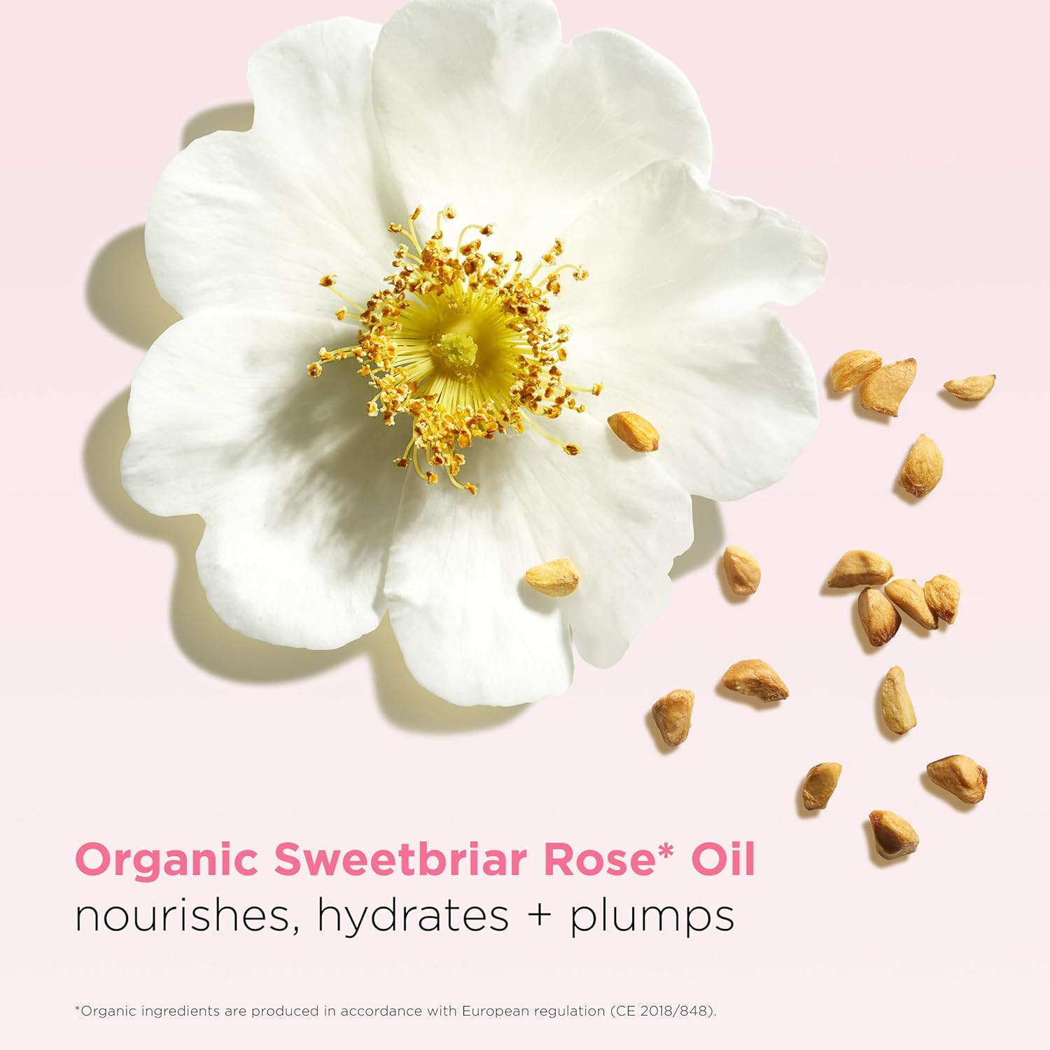 Lip Oil Balm - 06 Fig by Clarins for Women - 0.1 Oz Lip Balm - 01 - Transparent Perfector Pink image number 2