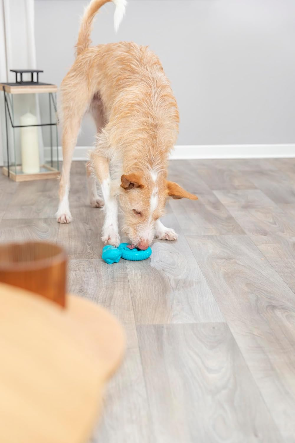 TRIXIE Snack Snake, TPR, &Oslash; 18 Cm, 0.16 Kg