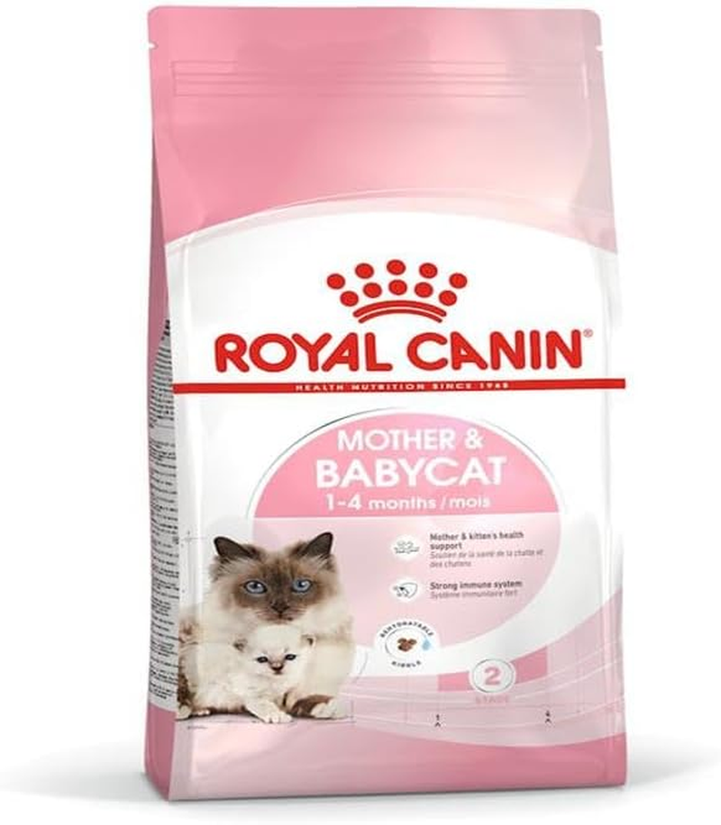 Royal Canin First Age Mother and Babycat Dry Food 2 Kg image number 3