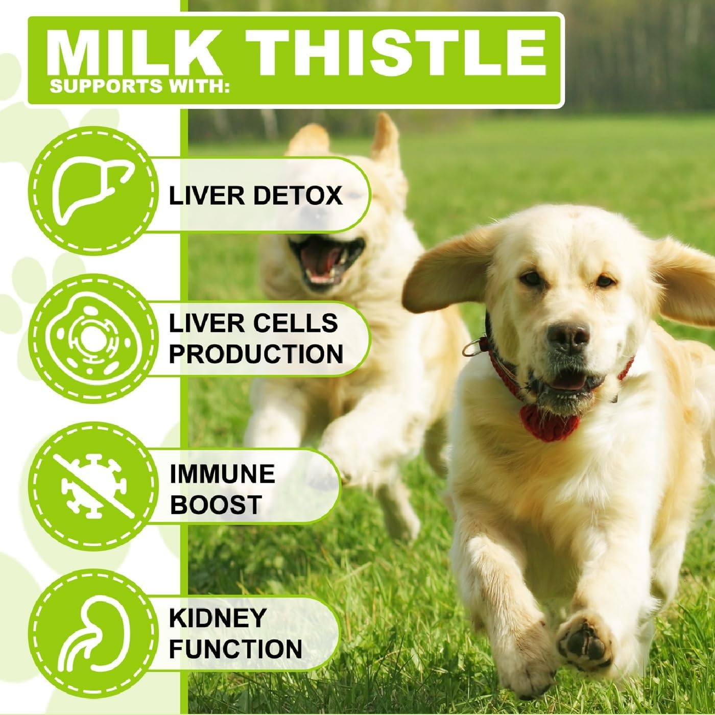 Milk Thistle for Dogs &ndash; Liver & Kidney Support Supplement with Curcumin, Salmon Oil, Omega-3 EPA & DHA &ndash; Organic Liquid Drops for Detox, Immune Health &ndash; 60Ml