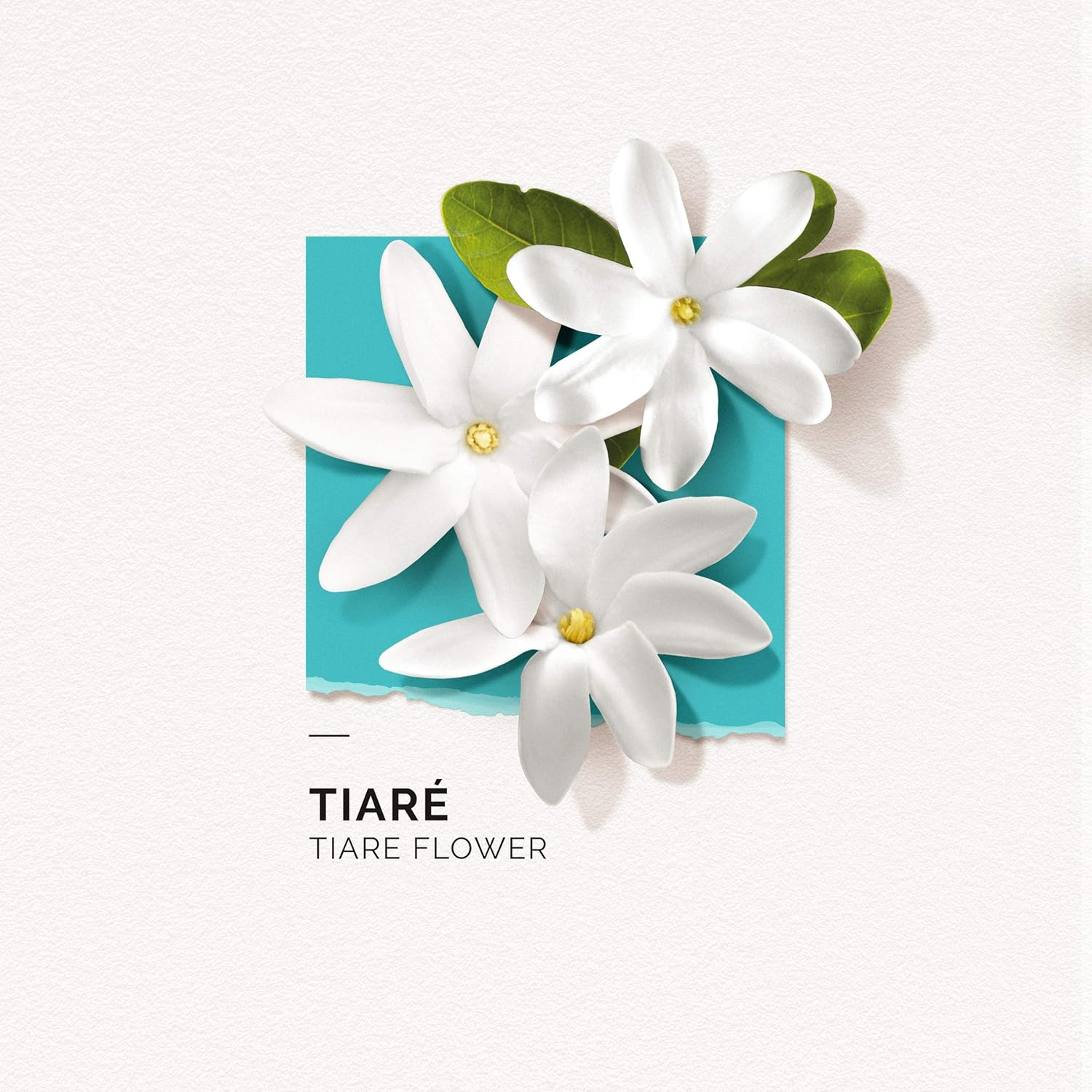 Solinotes Paris Tiare Flower Eau De Toilette Rollerball 10Ml image number 3