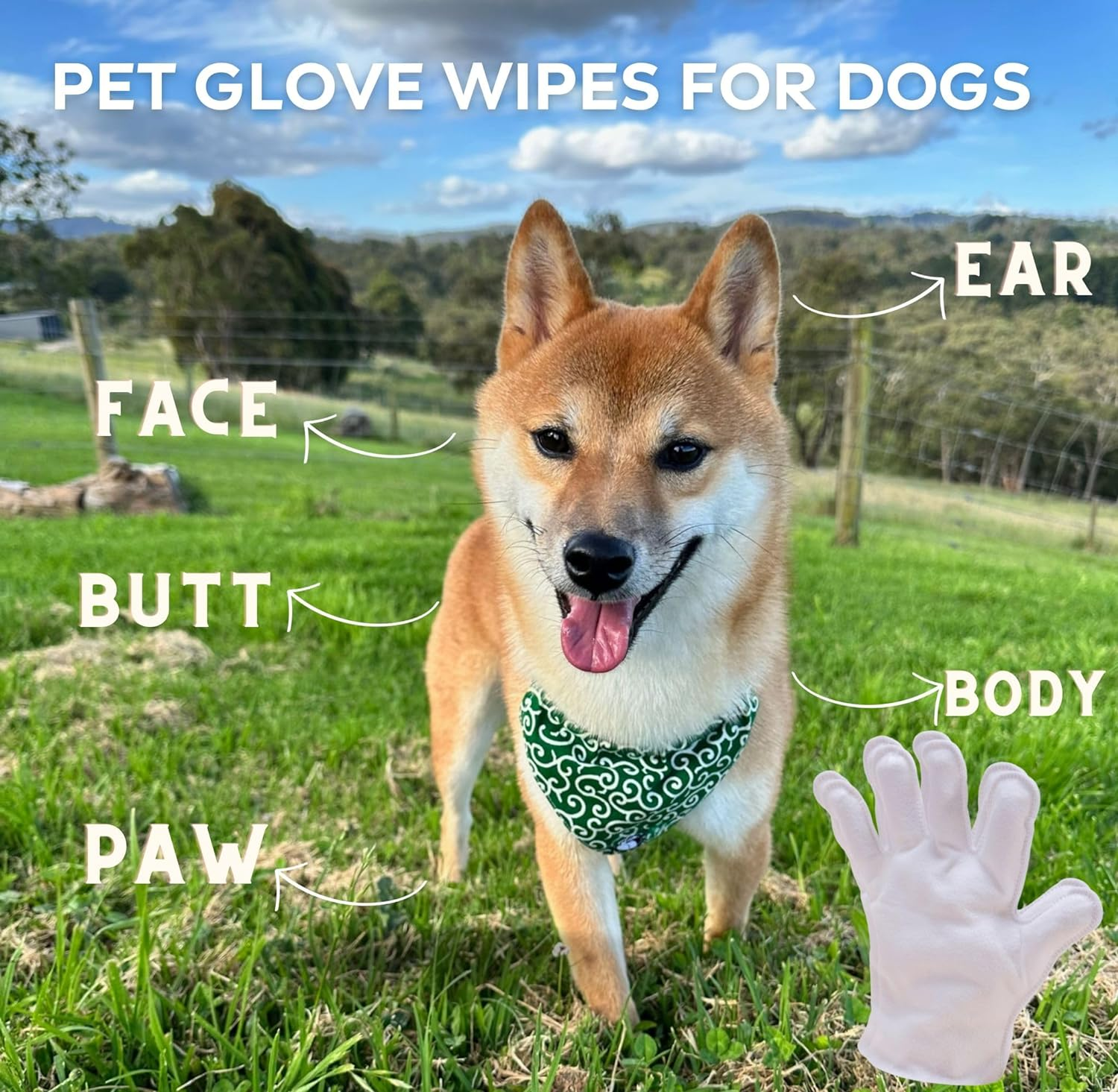 Dog Cleaning Gloves Wipes, Pet Cat Grooming Glove, Disposable Enhanced Five Finger Design Pet Glove Wipes for Dogs, Rinse Free Dry Gloves Suitable for Pet Families Cleaning (6 Gloves) image number 3