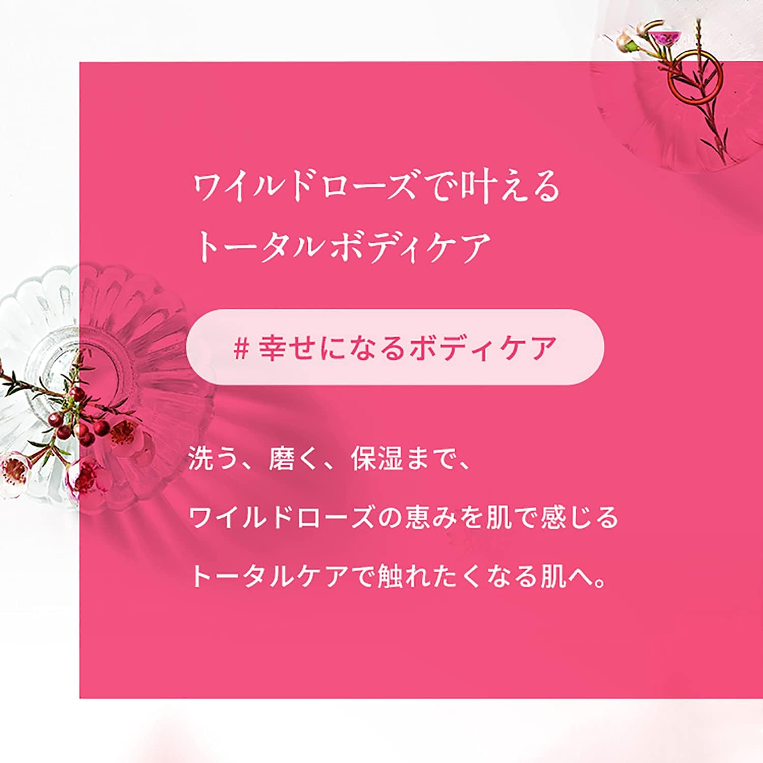 NEAL'S YARD REMEDIES Wild Rose Body Lotion (Milky Lotion for Body), Body Cream, 6.8 Fl Oz (200 Ml)